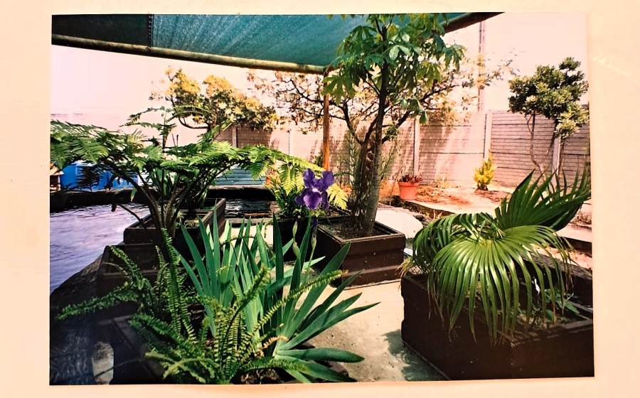 3 Bedroom Property for Sale in Rugby Western Cape